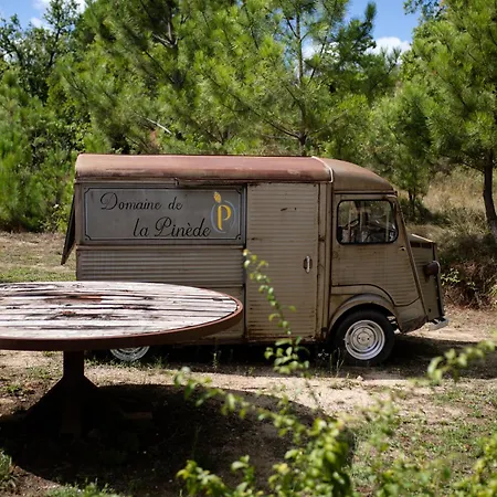 Domaine De La Pinede 3*